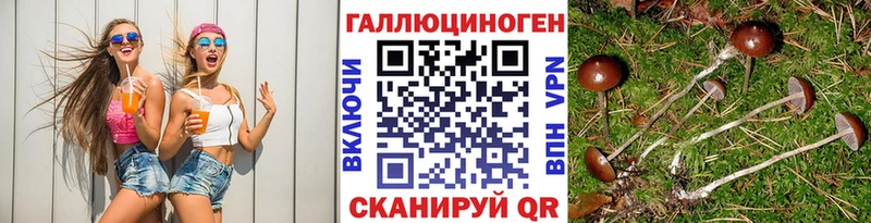 сколько стоит  мега как зайти  Псилоцибиновые грибы ЛСД  Венёв 